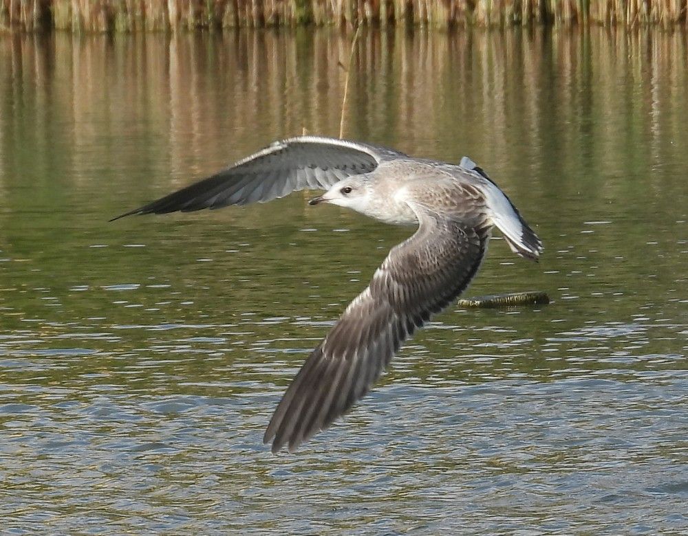 Photograph by Владимир Джерихов