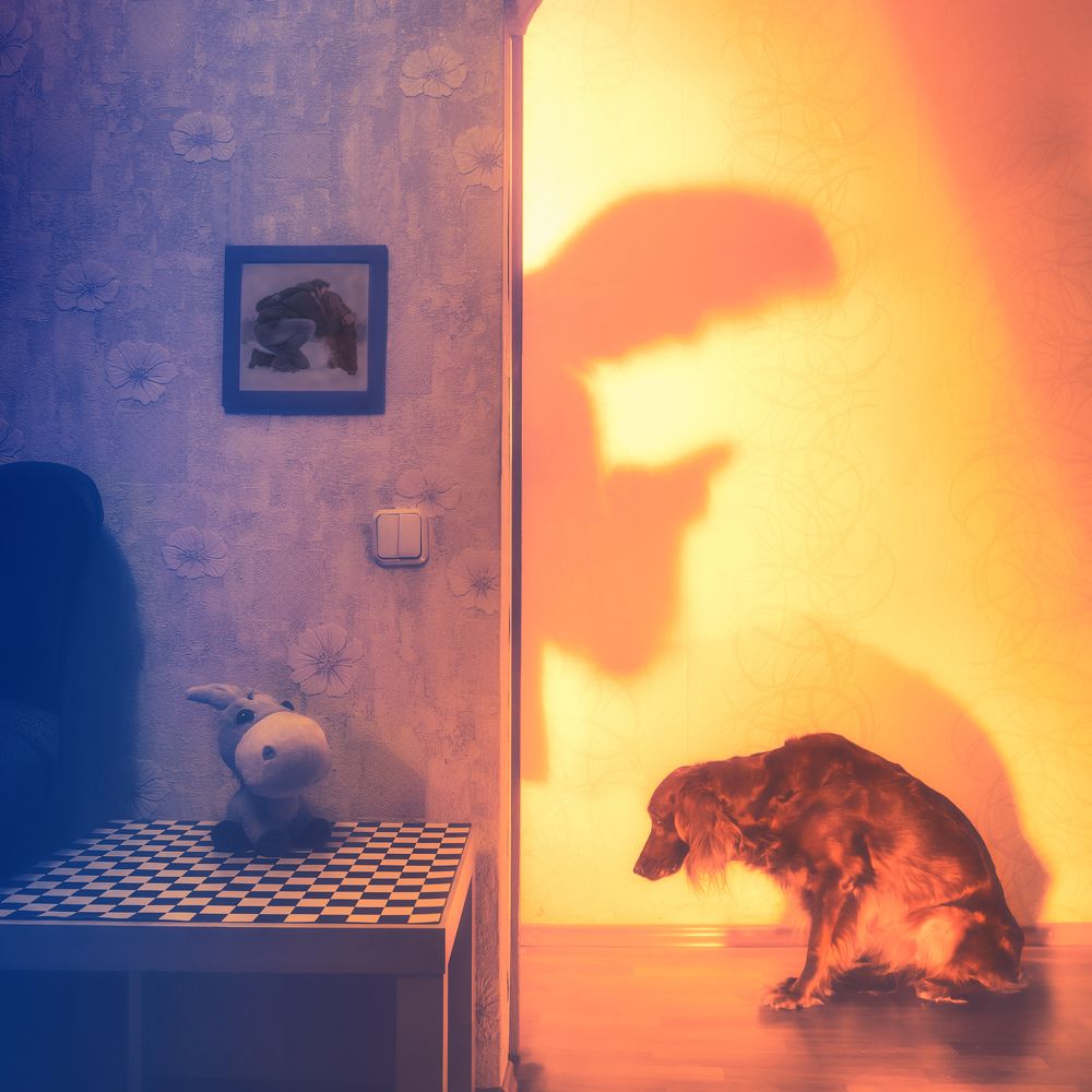 Photograph by Константин