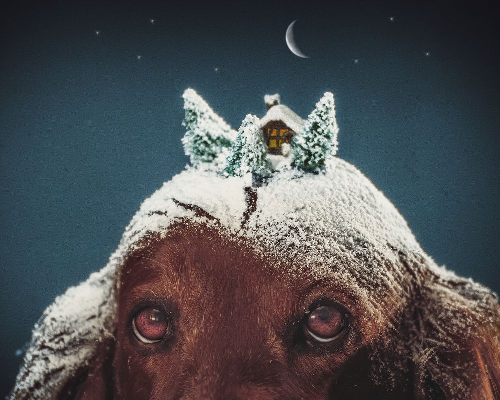 Photograph by Константин