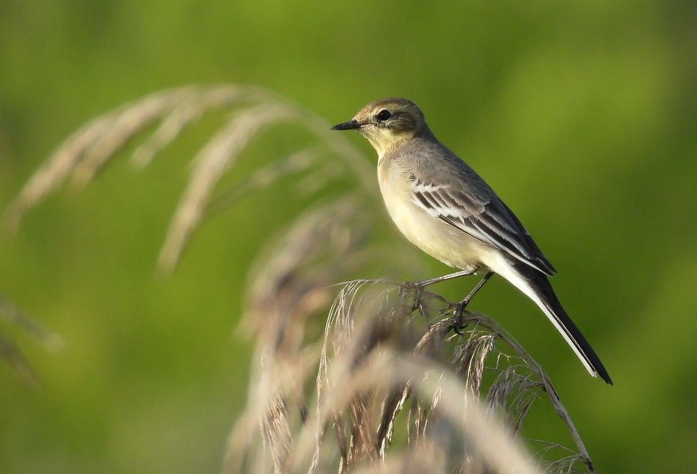 Photograph by Владимир Джерихов