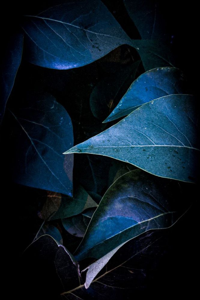 Photograph by Дарья Макаревич