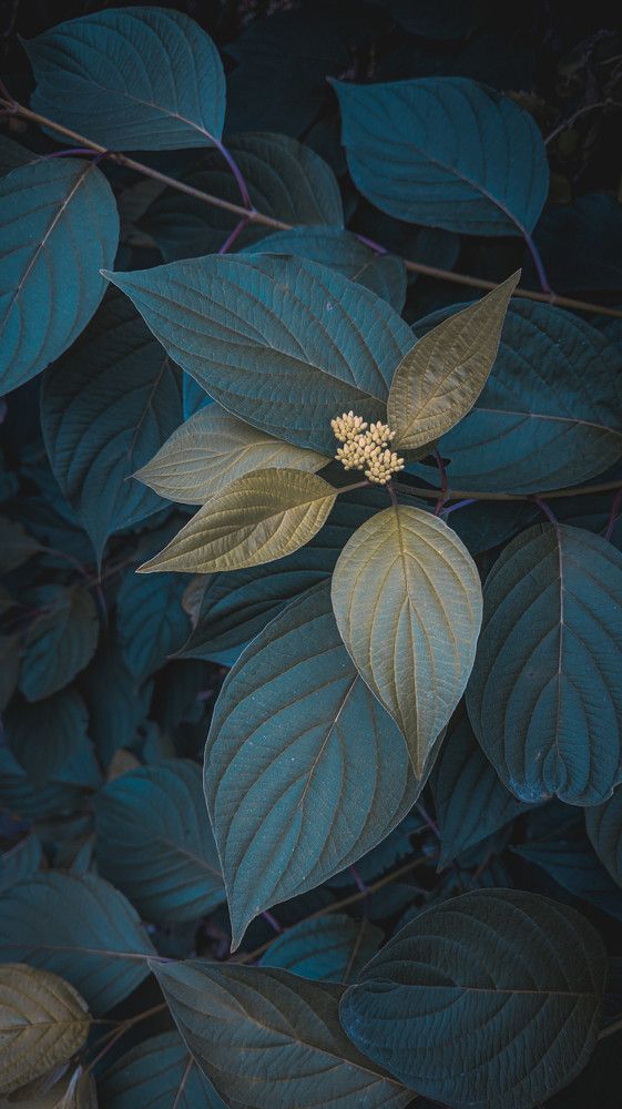 Photograph by Дарья Макаревич