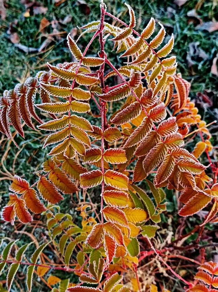 Photograph by Сергей Петров