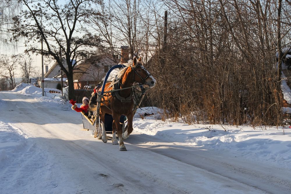 Photograph by Светлана Карнаух