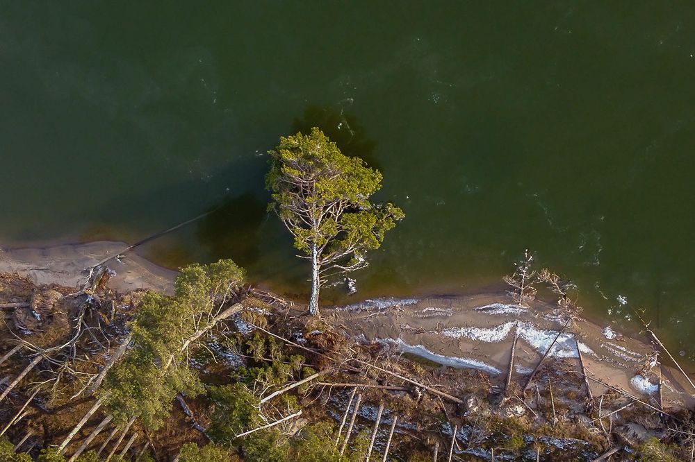 Photograph by Наталья Брюхненко