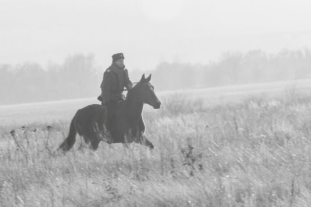 Photograph by Светлана Карнаух