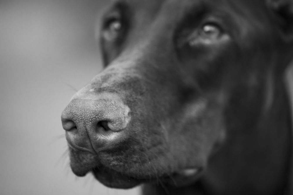 Photograph by Сергей Симохин