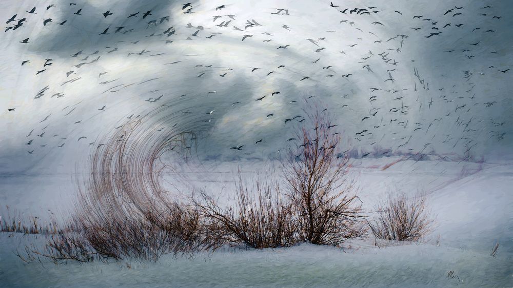 Photograph by Людмила Железнова