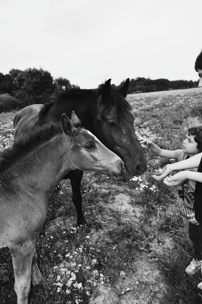 Фотография автора Catherine Shashkova