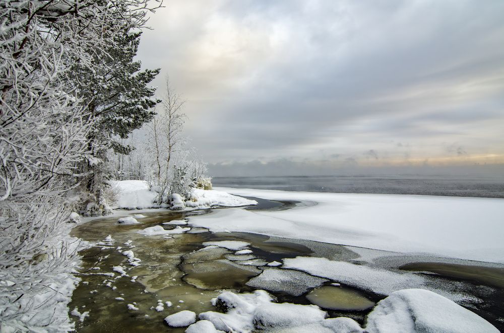 Фотография автора Роман Луночкин