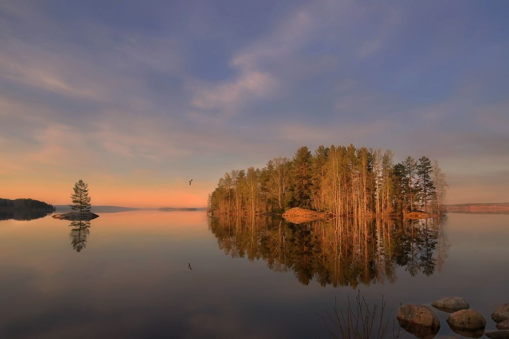 Photograph by Дмитрий Петухов