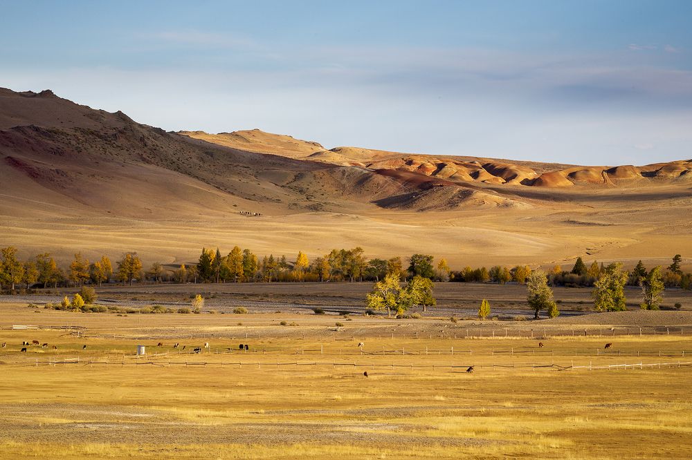 Есть жизнь на Марсе.