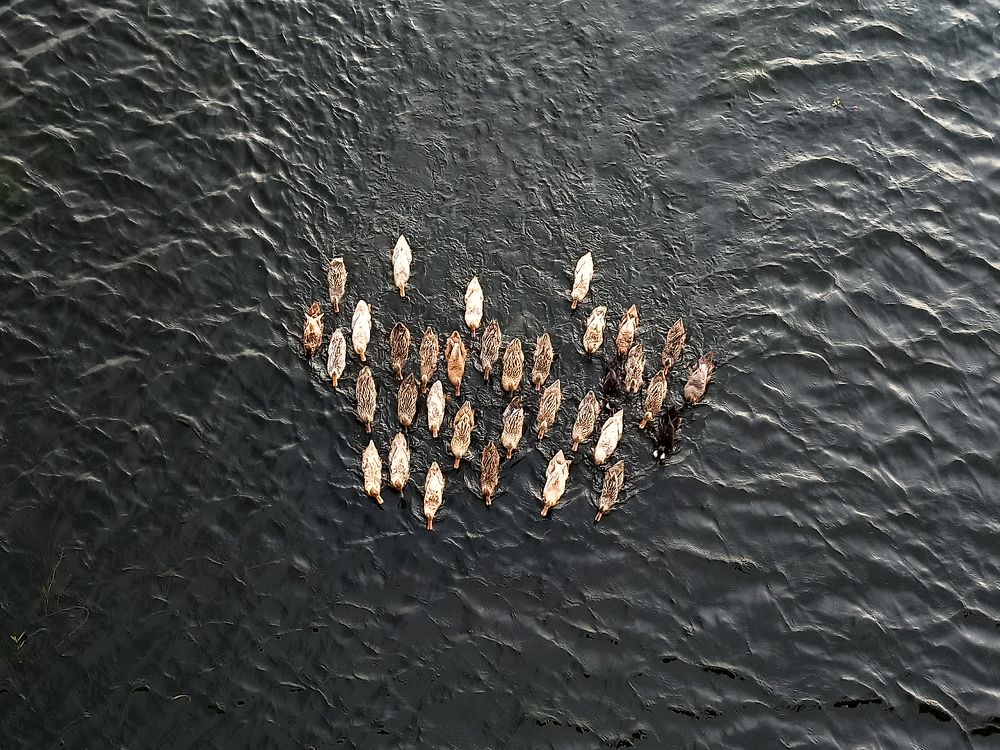 Photograph by Md Nader Ahmed Rimon