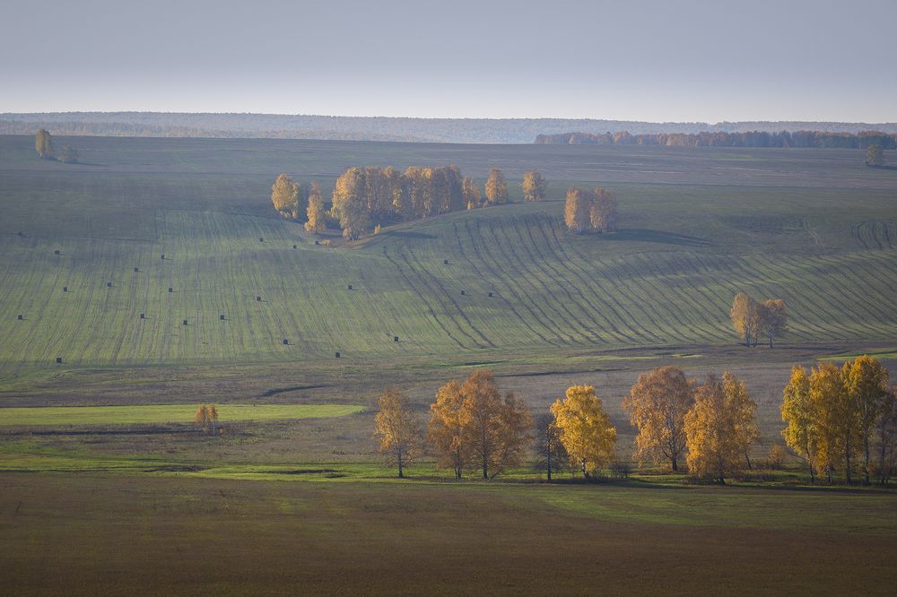 Фотография автора Сергей Шульга