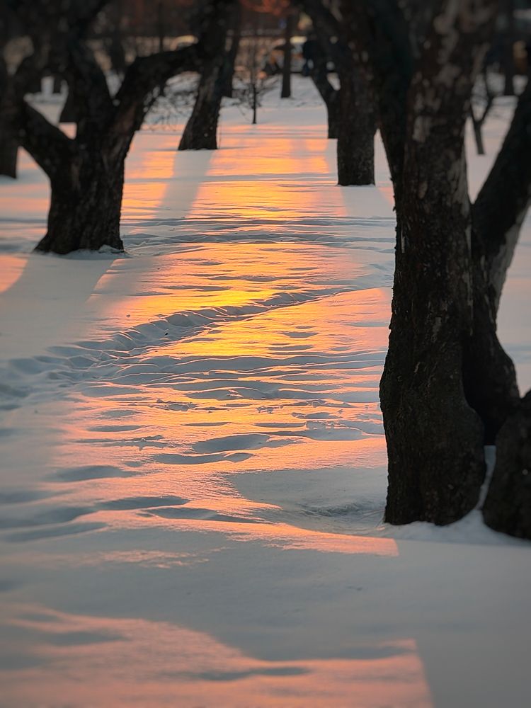 Photograph by Сергей Конюшенко