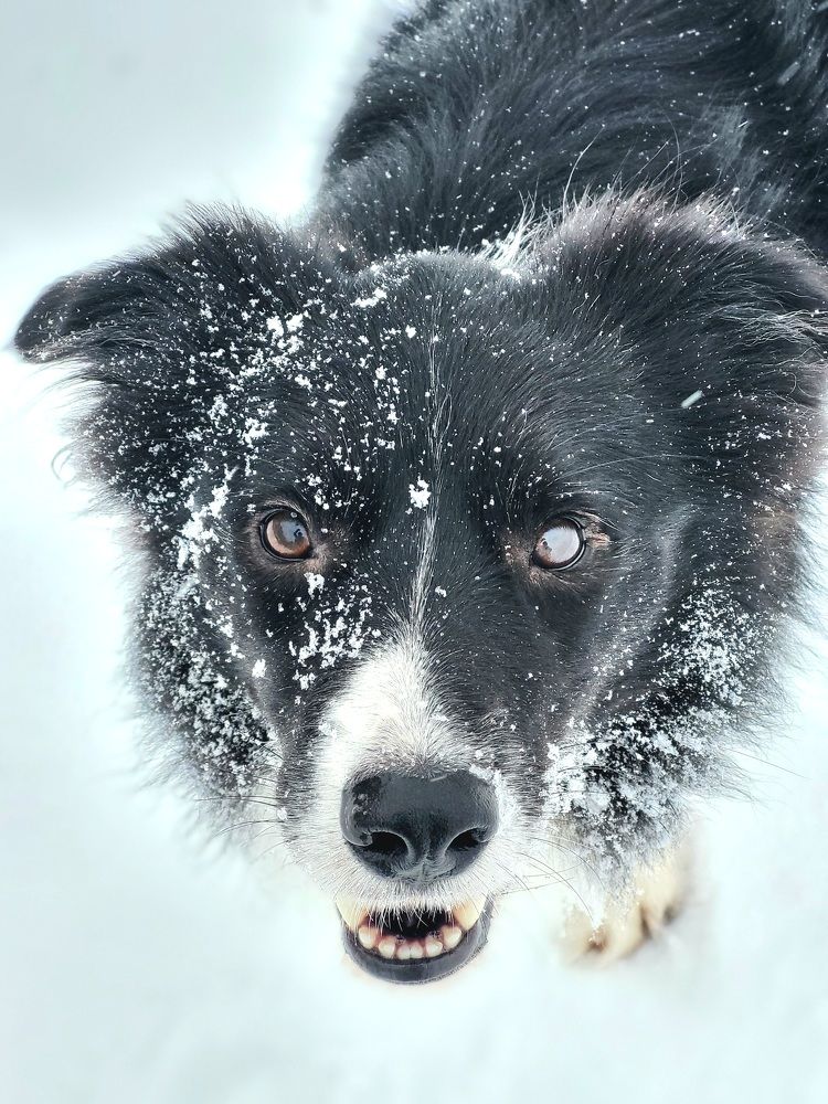 Photograph by Monika Grofčíková