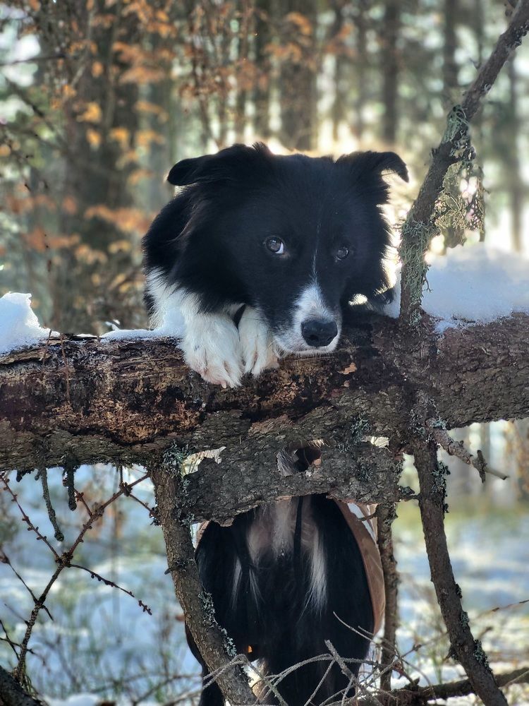 Photograph by Monika Grofčíková