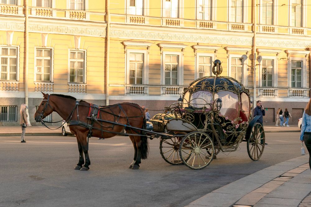 Photograph by Наталья Вялых