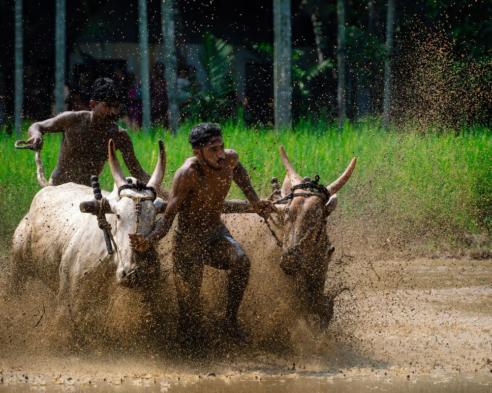 Photograph by Kedarnath M S