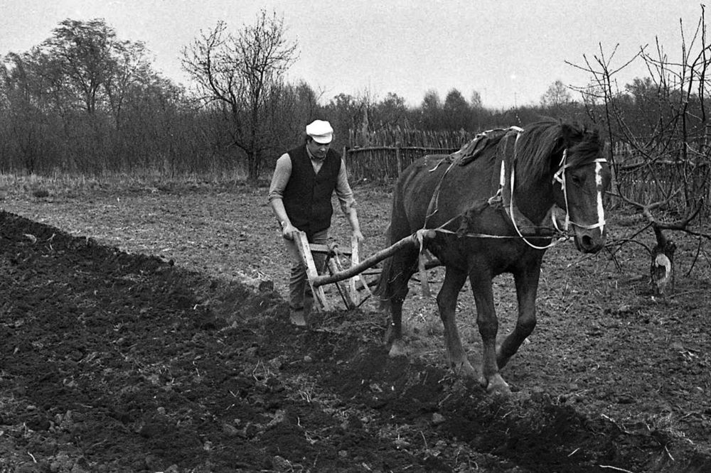Photograph by Cергей Абакумов
