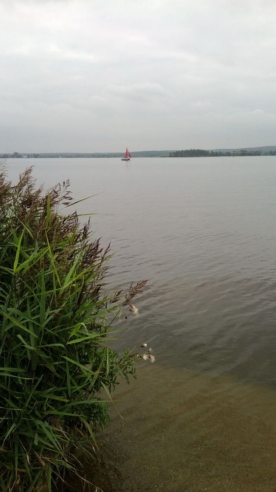 Photograph by Наталия