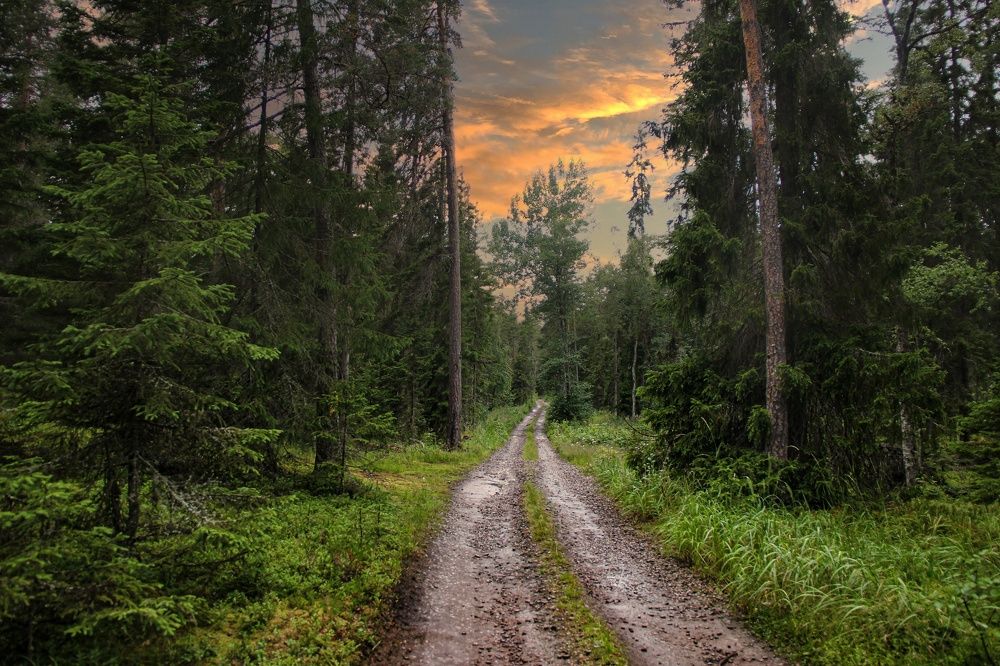 Photograph by Андрей