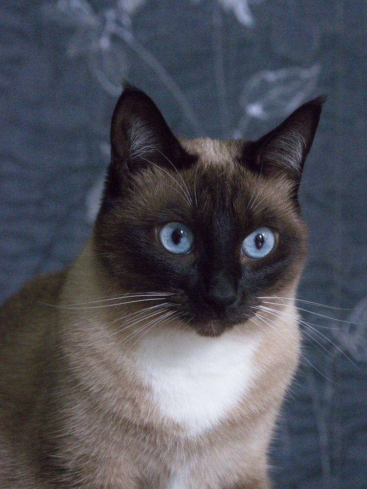 Photograph by Сергей Тузлуков