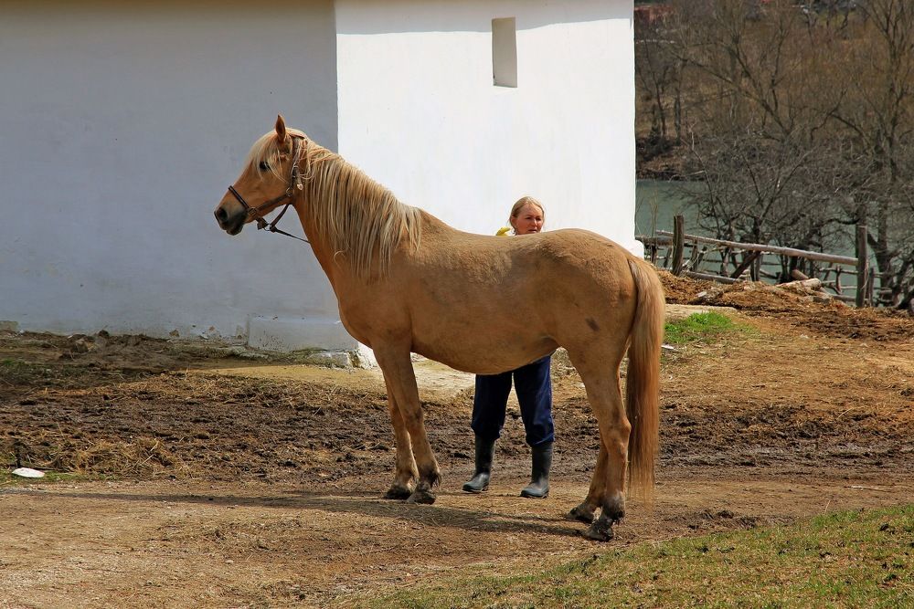 Photograph by Александр Бугаенко
