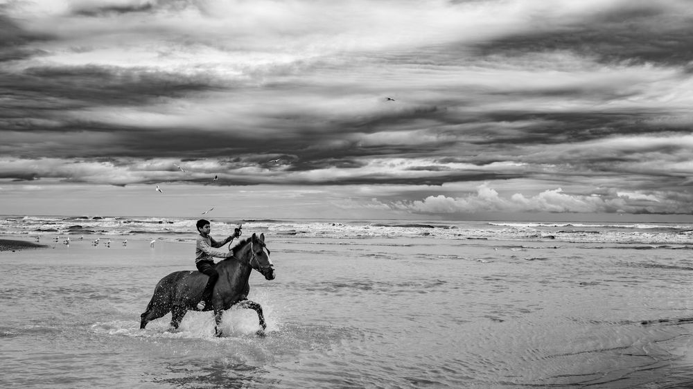 Photograph by seyed mostafa yousefi