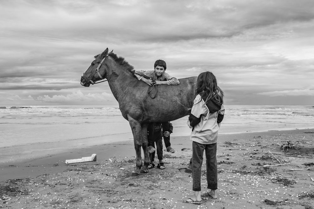 Photograph by seyed mostafa yousefi