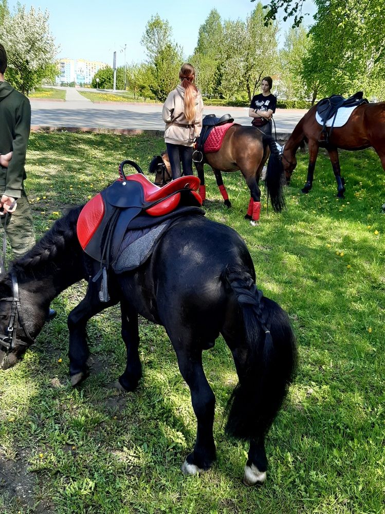 Фотография автора Наталья Шендяпина