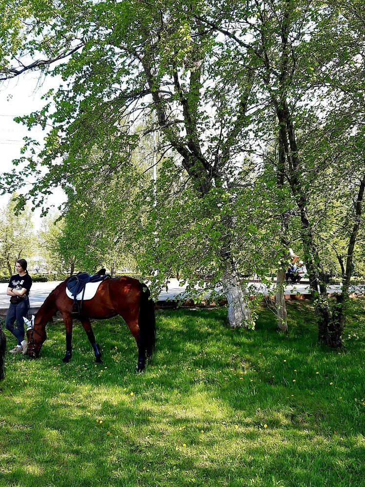 Фотография автора Наталья Шендяпина