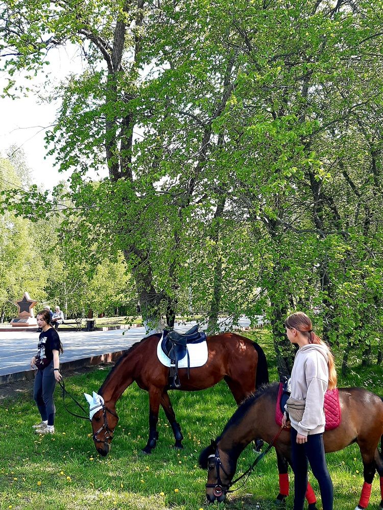 Фотография автора Наталья Шендяпина