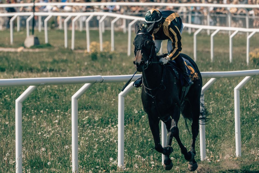 Фотография автора Ruslan Badykov