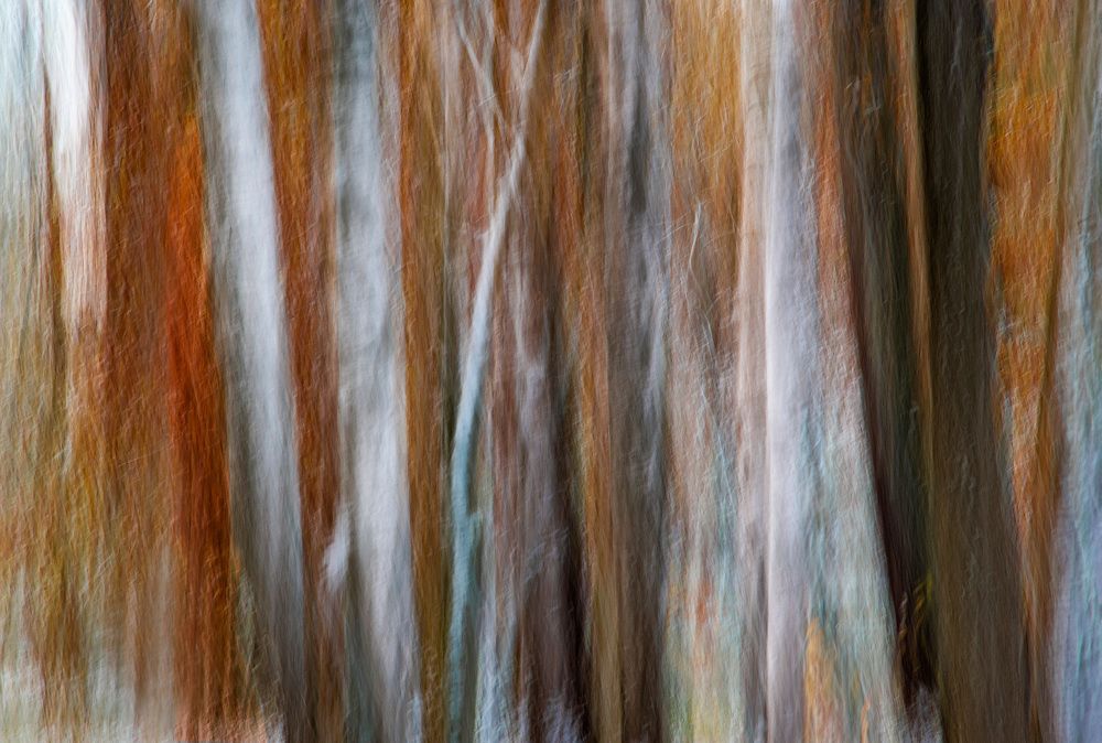 Photograph by Лана Петрова