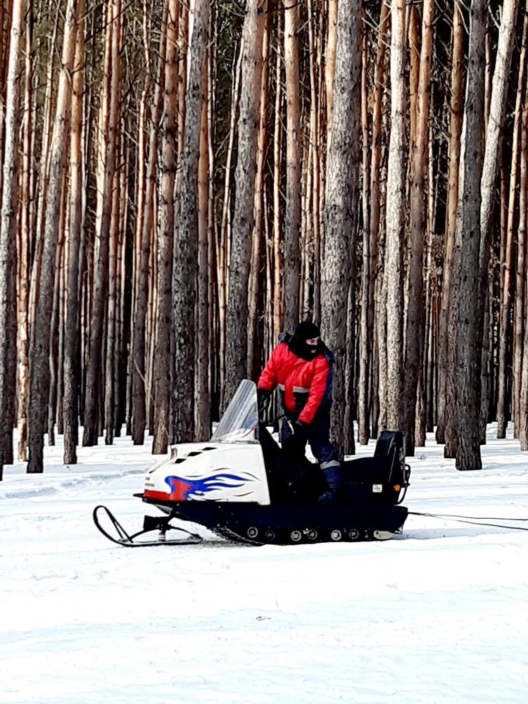 Фотография автора Наталья Шендяпина