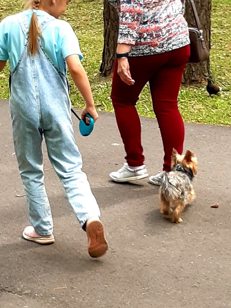 Мобильная фотография.