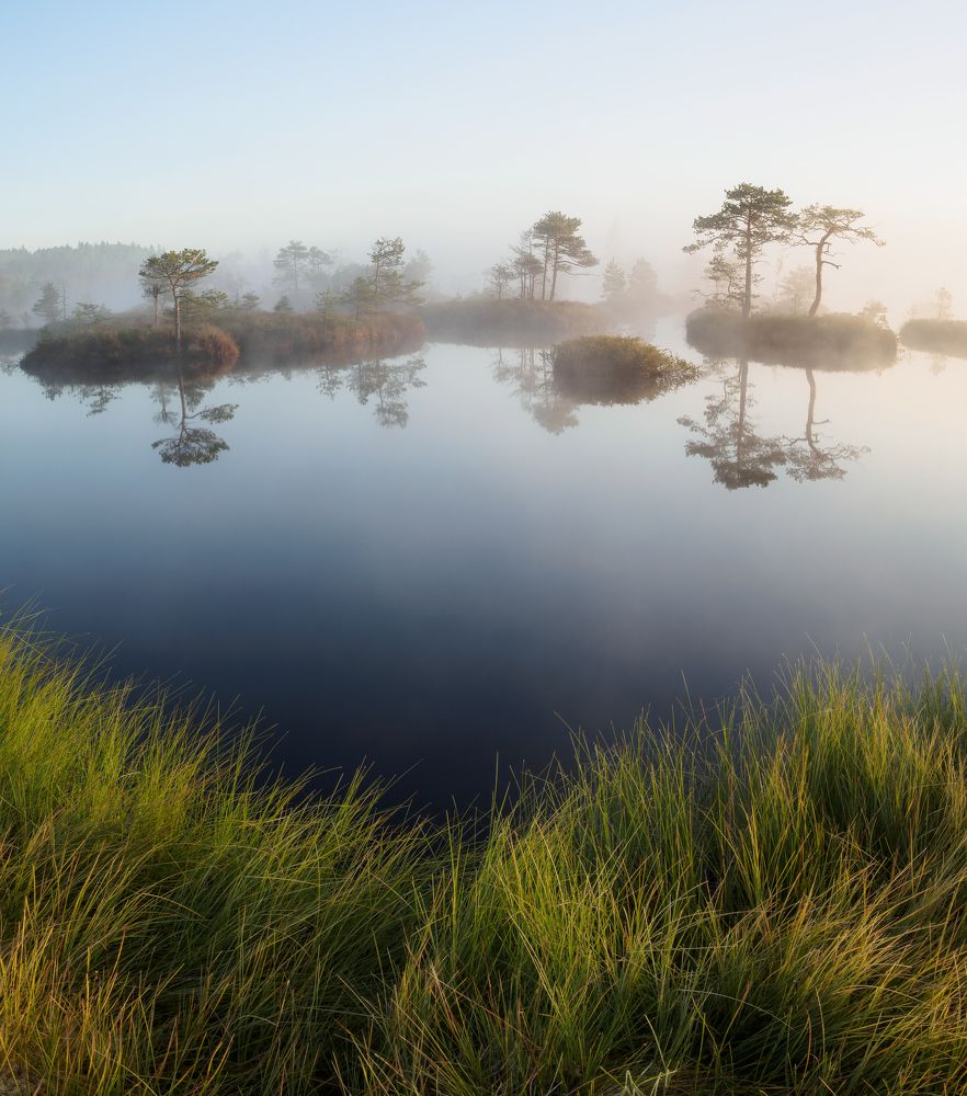 Фотография автора Андрей Врубель