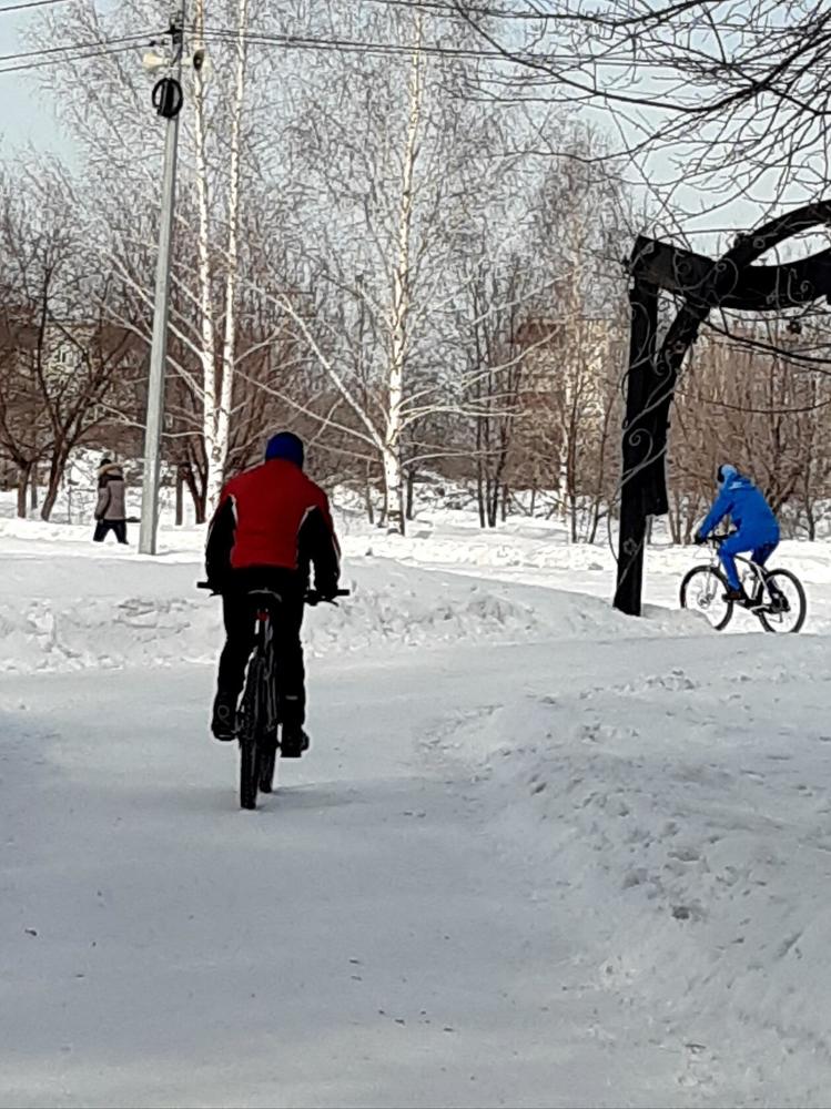 Фотография автора Наталья Шендяпина