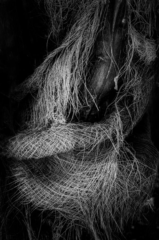 Photograph by Martina