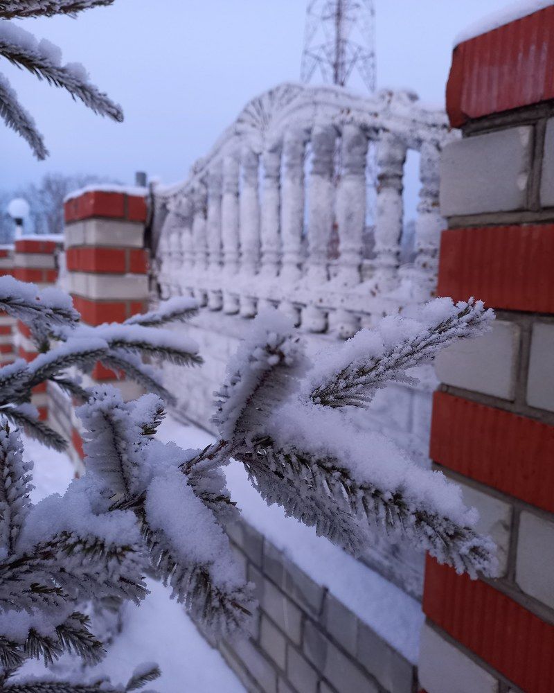 Photograph by Алсу Нугманова