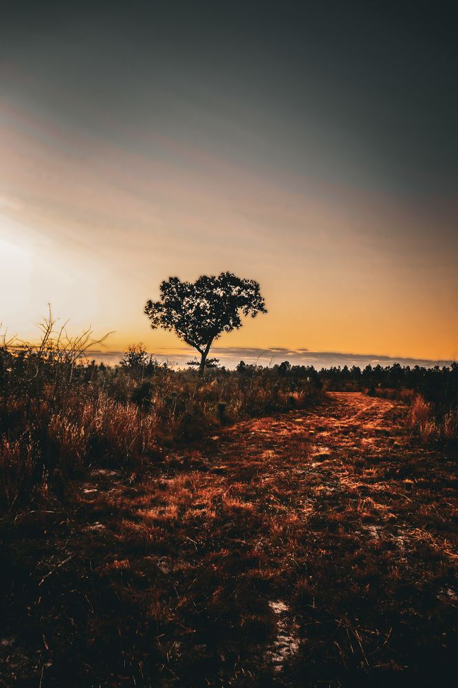 Photograph by Ethan Williams