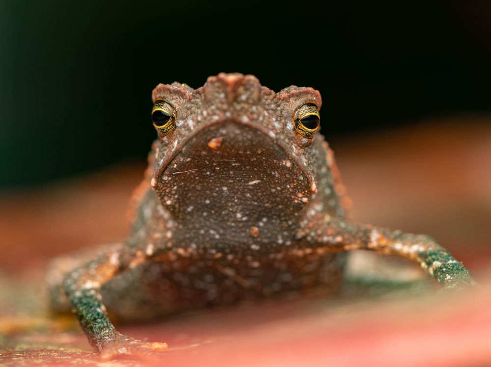 Photograph by Mateo García Mejía