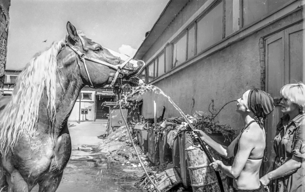 Photograph by Илья Чирков