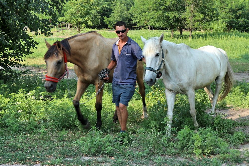 Photograph by Владимир Подкуйко