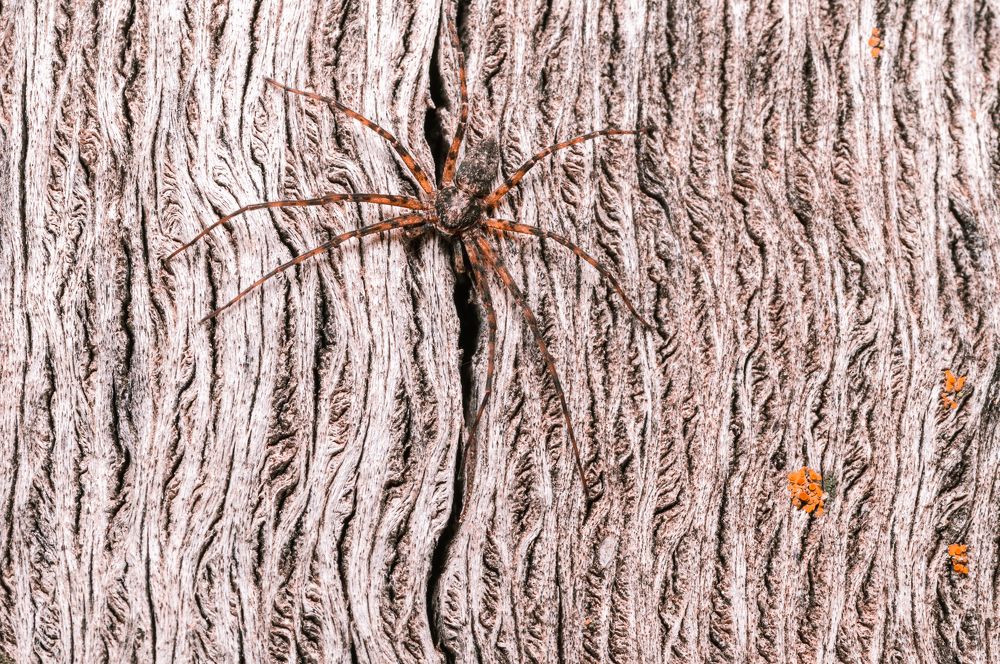 Photograph by Alberto