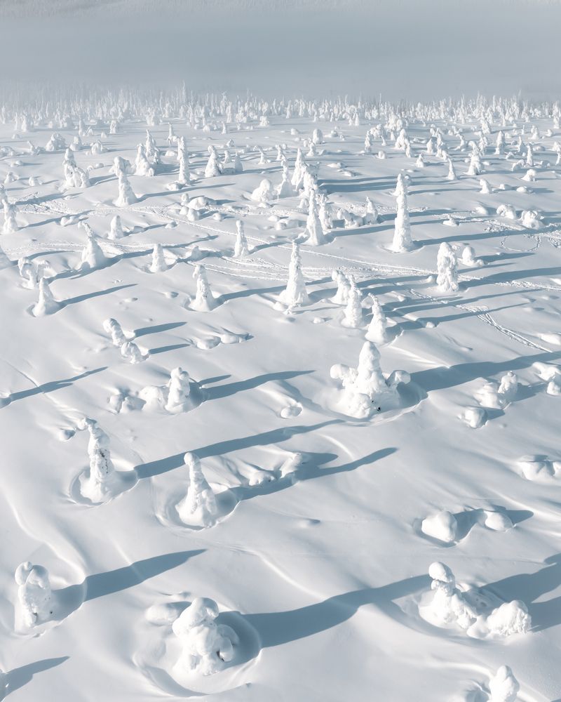 Photograph by Олег Ильин