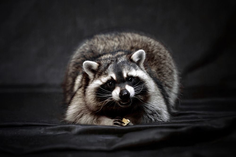 Photograph by Денис Клявин