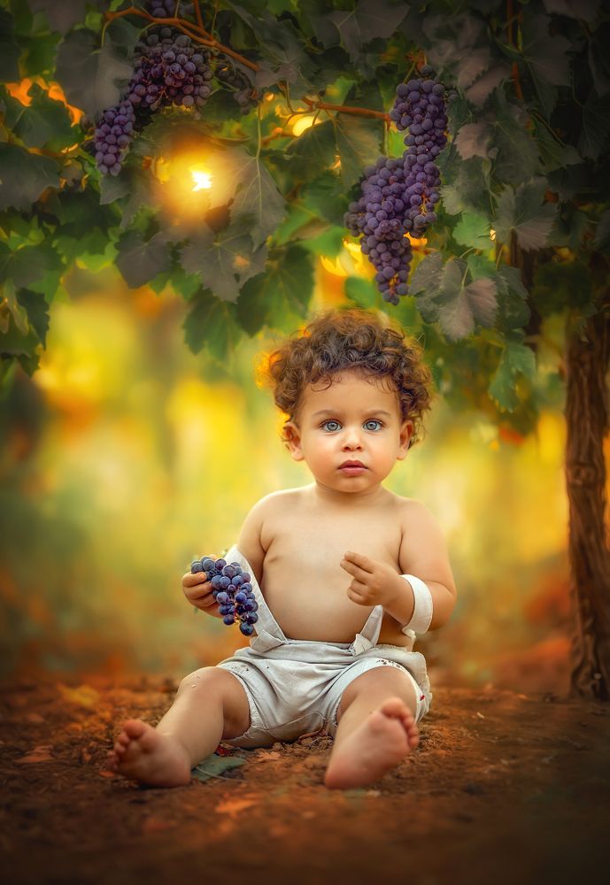 Photograph by yarden kaplan