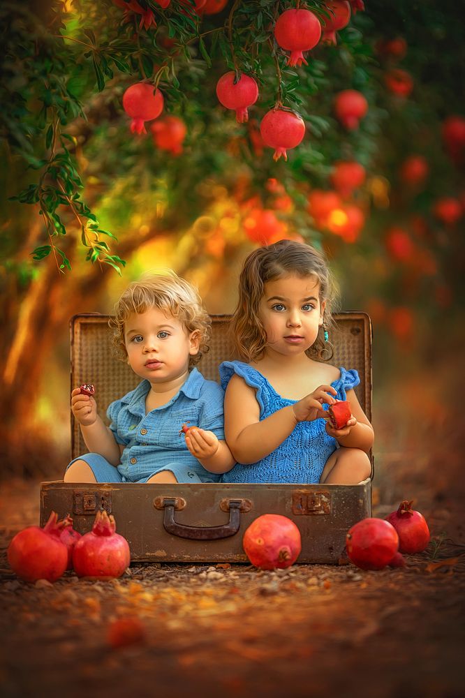 Photograph by yarden kaplan